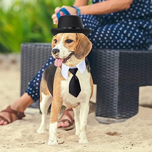 Yewong 2-Piece Pet Formal Accessories Set - Top Hat with Formal Necktie/Bowtie for Dog & Cat - Birthday Party, Graduation, Halloween Costumes - Image 3