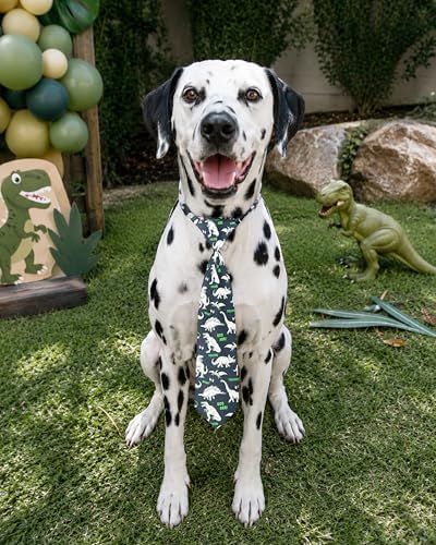 PET SHOW 10 Pack Dinosaur Dog Ties Neckties XL for Extra Large Dogs - Image 6