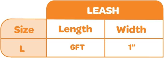 Best Pet Supplies Voyager Reflective Dog Leash or Collar with Neoprene Handle, for Small, Medium, and Large Breed Puppies, Cute and Heavy Duty for Walking, Running and Training - Baby Blue Leash, L