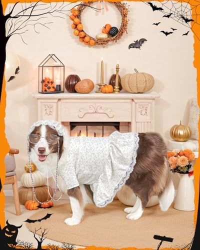 4P Funny Granny Wolf Dog Costume – Halloween Old Lady Costume for Dog for Medium and Large Dogs – Includes Floral Dress, Cap, Glasses & Eye – Classic Story-Themed Cosplay - Image 4