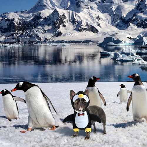 HOTUMN Penguin Halloween Costume - Cute and Funny Pet Costume Soft Dog Cosplay Outfits for Small Pets - Image 6