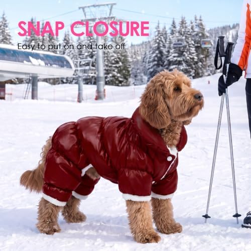 AOFITEE Dog Coats for Medium Dogs Full Body Dog Coat Waterproof Dog Jacket - Image 6