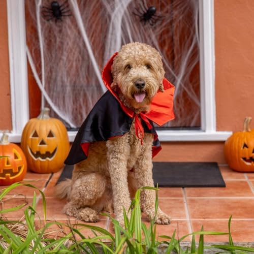 Dog Vampire Costume, Dog Halloween Costume with Stand-Up Collar - Image 3