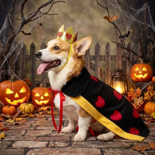 Hillban Halloween Dog King Costumes Heart Crown Queen Pet Cloak Set - Image 4