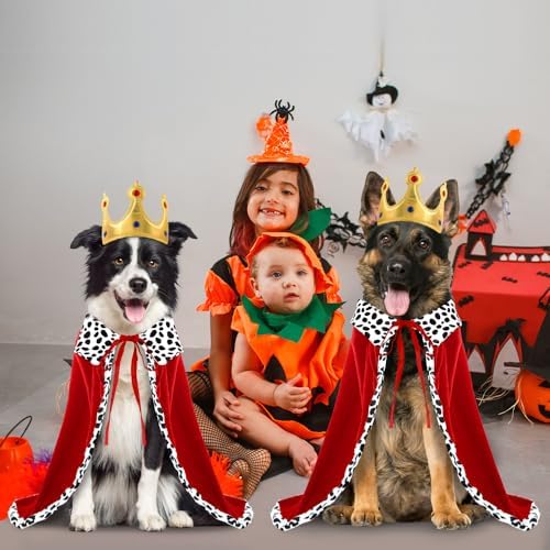 Halloween Dog King Costume Royal Cape with Crown for Medium Dogs - Image 7