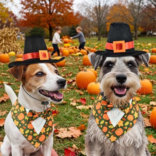Thanksgiving Day Dog Adjustable Tuxedo with Black Pilgrim Hat Thanksgiving Day Puppy Costume Set Fall Thanksgiving Themed Outfits for Cats Puppy Dog M - Image 2