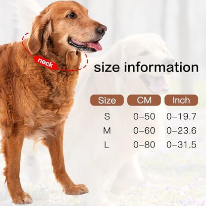 Lion Mane Dog Costume for Medium & Large Dogs - Realistic Wig for Halloween, Photoshoot & Entertainment (Black, Size L + Tail Set) - Image 3
