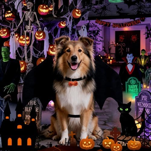 Halloween Dog bat Wing Costumes M，pet Costumes for Halloween Party - Image 6