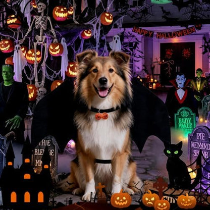 Halloween Dog bat Wing Costumes M，pet Costumes for Halloween Party - Image 6