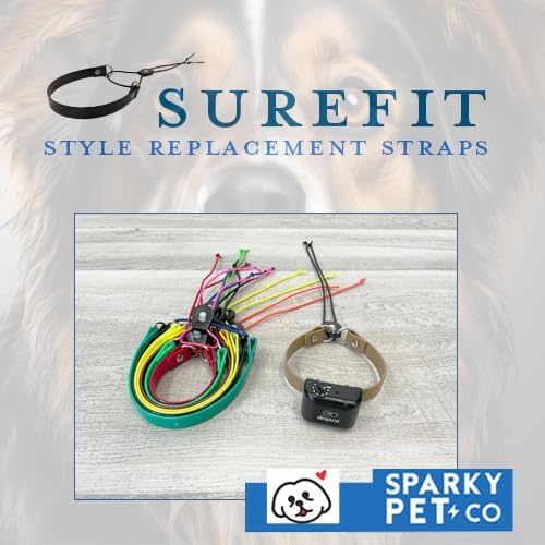 Sparky Pet Co - ECollar Replacement Strap - Bungee Dog Collar - Waterproof - Adjustable - Secure Nexus Wheel Lock - for Electronic Training & Invisible Fence Systems - 1" (Neon Orange)