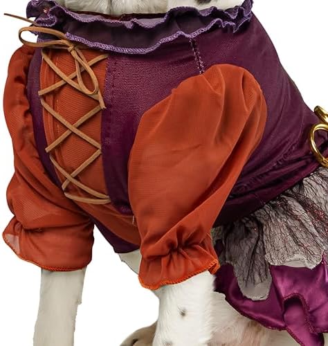 Rubies Disney Hocus Pocus Mary Sanderson Pet Costume and Wig - Image 5