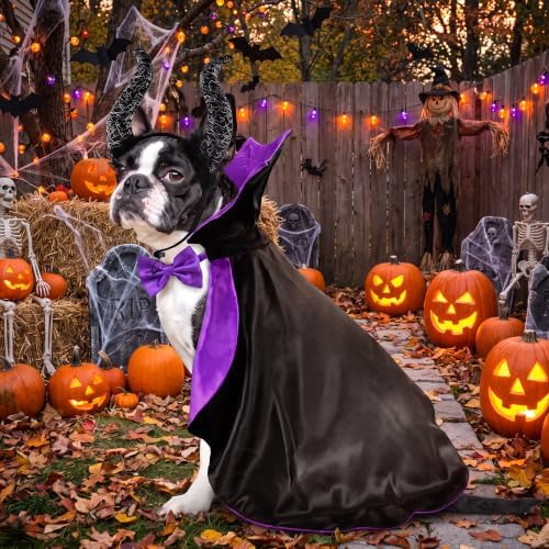 2 Pcs Dog Halloween Costume Set Cat Witch Vampire Cape Devil Horns Hat Holiday Clothes for Cat Puppy Halloween Party Pet Outfits (Purple) L - Image 3