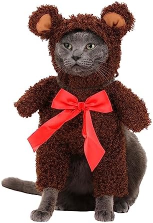 California Costumes, Teddy Bear, Dog Costume Small - Image 2