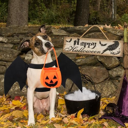 Dog Bat Costume Dog Halloween Costume Dogs Bat Wings with Pumpkin Bags - Image 7