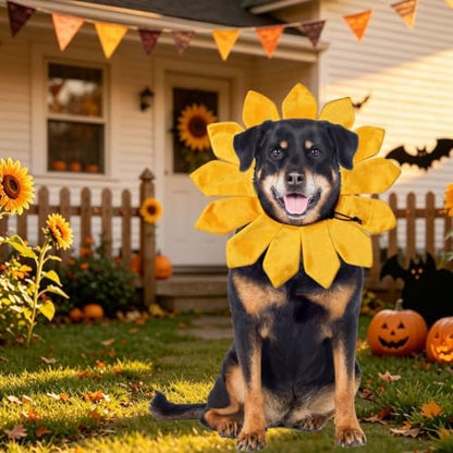 Dog Halloween Costumes, Sunflower Dog Costume Adjustable Sunflower Collar for Small Medium Large X-Large Dogs Pets (Large) - Image 5