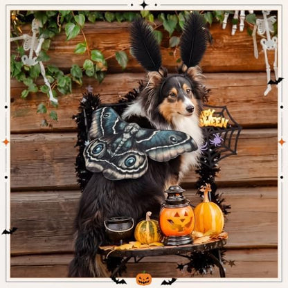 Tallew 2 Pcs Dog Halloween Costumes Moth Butterfly Wings,M,Tan - Image 6