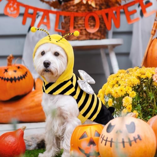 Bee Dog Halloween Costumes Clothes Dog Costumes Small Medium Dogs Cats Pet - Image 5