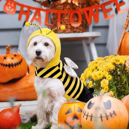 Bee Dog Halloween Costumes Clothes Dog Costumes Small Medium Dogs Cats Pet - Image 5