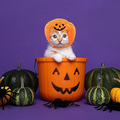 ALIBBON Cat & Dog Halloween Costume - Pumpkin Headdress & Cap for Puppy & Kitty Cosplay - Image 5