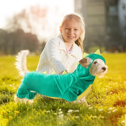 Hotumn Dinosaur Dog Halloween Costume Pet Dino Hoodie for Medium Dogs (X-Large, Green) - Image 6