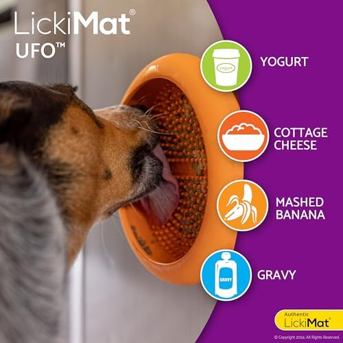 Lickimat UFO Pet Feeder, Dog Dish, Suction Cups, Wet Food
