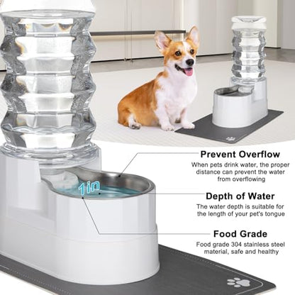 RIZZARI 8L Elevated Dog Water Dispenser: Senior Pets Filtered Hydration