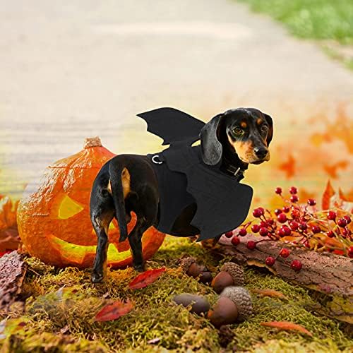Rypet Dog Halloween Costume, Halloween Bat Wings for Small Dogs Cats, Large - Image 5