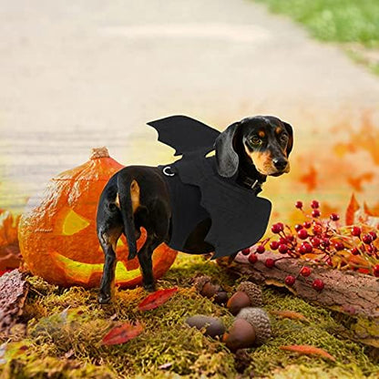 Rypet Dog Halloween Costume, Halloween Bat Wings for Small Dogs Cats, Large - Image 5
