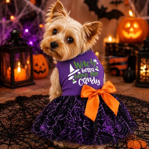 Halloween Dog Dress, Witch Candy Spider Web Tutu Skirt, Holiday Cat Costume for Small Dogs and Cats, Purple Pet Outfit for Puppies and Kittens - Image 4