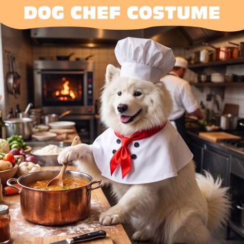 Dog Halloween Chef Outfit Chef Hat Red Scarf Pet Costume Medium Large Dogs - Image 2