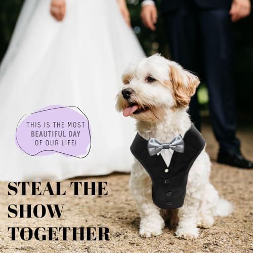 AVERYDAY Dog Tuxedo for Wedding Outfit, Dog Suit and Tie Costumes for Birthday, Halloween, Cosplay, Christmas Party, Pet Formal Wear with Bowtie, Tux for Small Dogs, Chihuahua, Bichon, Maltese, Cats - Image 2