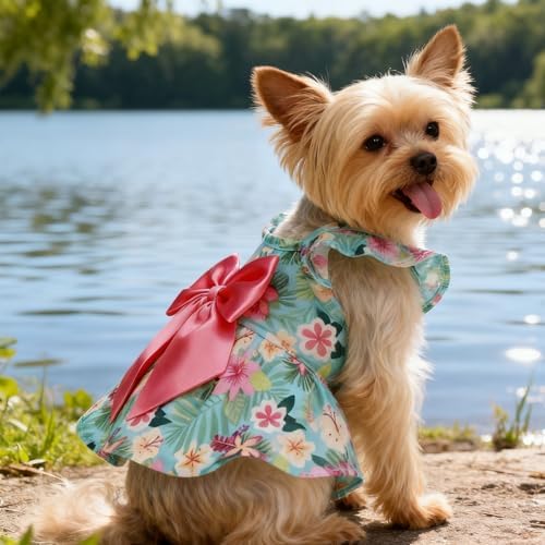 EXPAWLORER Dog Dress with Sleeve Ruffles, Floral Pet Dresses with Bow Tie for Small Meduim Dogs Puppy Cats Girl, Cute Princess Dog Dresses Skirt Clothes Outfits for Spring Summer, Green S - Image 6
