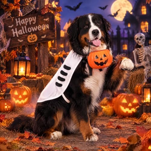 Halloween Skull Costume,Skeleton Dog Cape for Medium Large Pets(XL) - Image 4