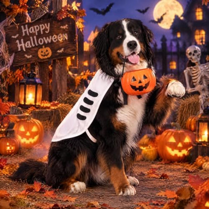 Halloween Skull Costume,Skeleton Dog Cape for Medium Large Pets(XL) - Image 4
