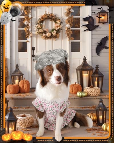 4P Funny Granny Wolf Dog Pet Costume – Halloween Old Lady Costume for Medium and Large Dogs – Includes Dress, Wig, Glasses & Chain Pet Halloween Party Inspired by Fairy Tales - Image 6