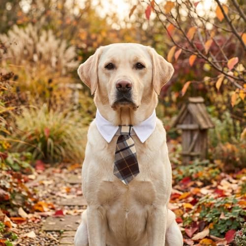 ADOGGYGO Fall Dog Necktie, Brown Plaid Thanksgiving Dog Tie Collar, Large - Image 3
