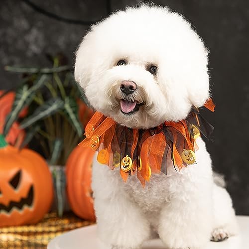 Elegant little tail 1PCS Dog Halloween Costume - Dog Cat Pumpkin Tutu Collars with Halloween Pumpkin Patterns Pet Tutu Collar Suit Halloween Costume for Cats Small Medium Dogs - Image 4