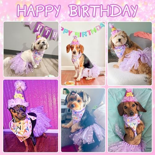 SCENEREAL Dog Birthday Bandana with Hat and Dress Girl Set, Puppy Birthday Party Supplies, Cute Tutu Skirt Outfit for Small Medium Large Dogs - Image 2