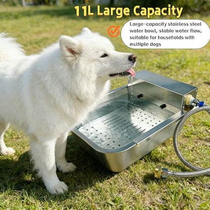 Stainless Steel Automatic Pet Water Bowl with Removable Filter