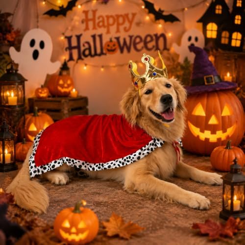Dog Halloween Costumes for Large Dogs,Funny Dog Costume King Crown Cape(L) - Image 2