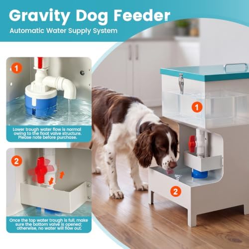 Automatic Dog Feeder and Water Dispenser Gravity Dog Feeder Large Breed