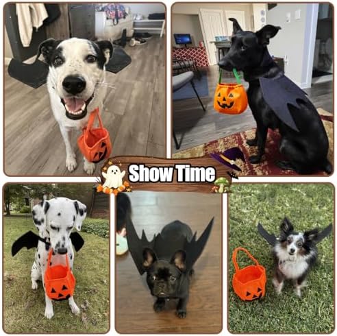Dog Bat Costume Halloween Costume Dog Bat Wings with Pumpkin Dog Bandanas - Image 4