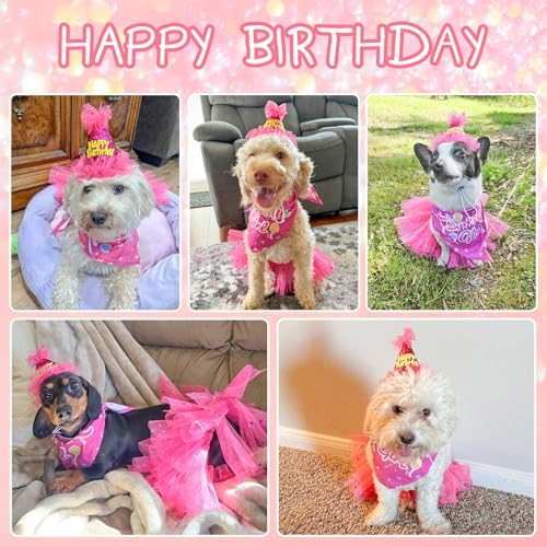 SCENEREAL Dog Birthday Bandana with Hat and Dress Girl Set, Puppy Birthday Party Supplies, Cute Pink Tutu Skirt Outfit for Small Medium Large Dogs - Image 2