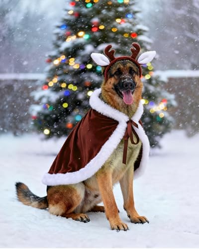CuteBone Christmas Dog Costumes for Small, Medium, Large Dogs – Reindeer Pet Cosplay Outfits | Cute Puppy Costume for Holiday Party, Dress-Up, Photo Shoots GBZ06XXL - Image 7