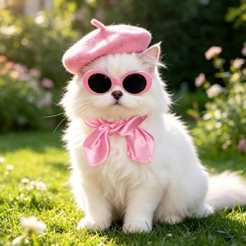 Dog Beret Scarf Glasses Pet French Beanie for Small Dogs Cats(Pink, Small) - Image 7