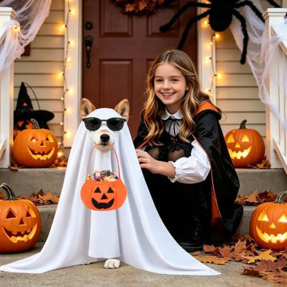 PETKNOWS Halloween Dog Ghost Costume Set with Sunglasses Pumpkin Bag(L) - Image 5