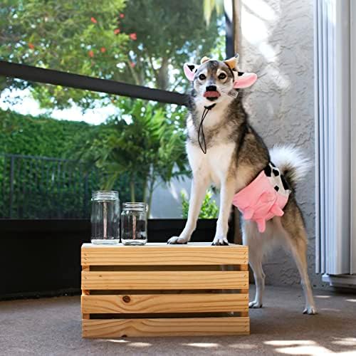 Midlee Cow Headband & Udder Dog Halloween Costume - Image 5