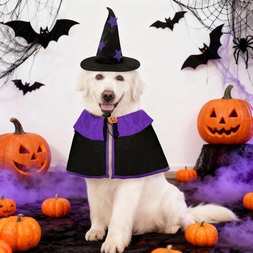 Dog Witch Costume - Dog Halloween Costume Adjustable Wizard Cape with Sewn PumpkinBrooch Witch Hat for Medium to Large Halloween Set for Parties Photo Shoots Daily Cosplay by HAEFOOPartyDecorations