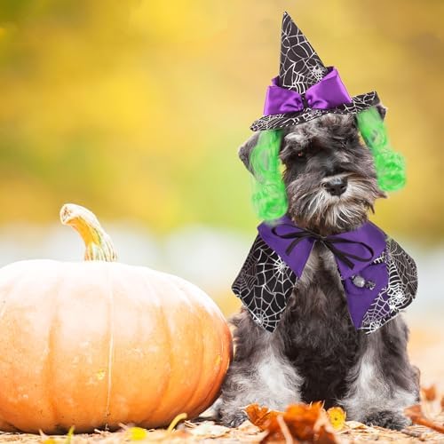 ADOGGYGO Halloween Dog Witch Costume, Purple Witch Wig Hat and Cape Set - Image 3