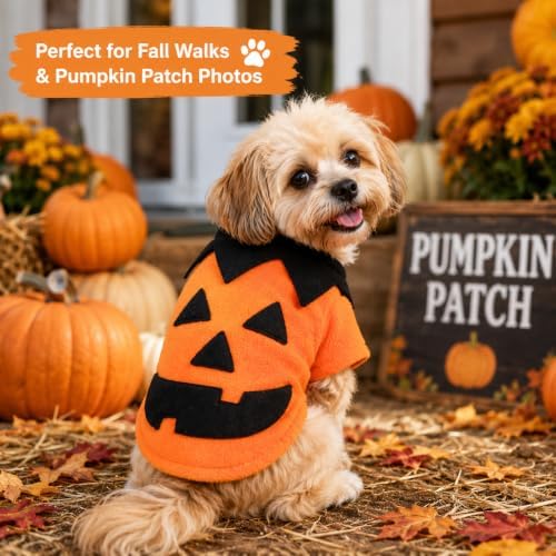 Dog Halloween Costume Pumpkin Pet Outfit Cat Clothes - Image 5